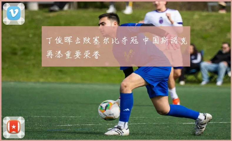 丁俊晖击败塞尔比夺冠 中国斯诺克再添重要荣誉